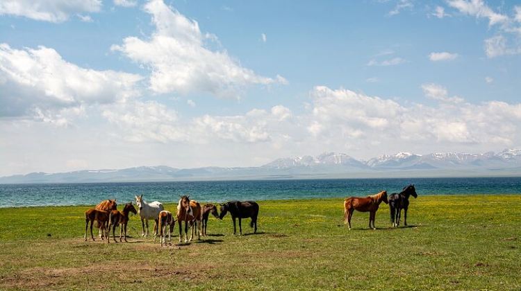 2D1N · Group Tours · 2-Day Small-Group Nomadic Adventure to Song Kul Lake
