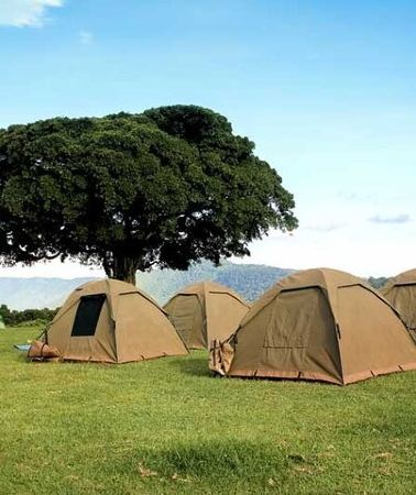 4D3N • 4-Day Budget Tarangire, Serengeti, Ngorongoro Safari Guided Tour