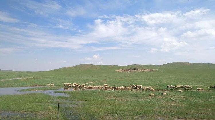 4D3N · Private Tours · Huhhot 4D3N Inner Mongolia Grassland and desert nature tours