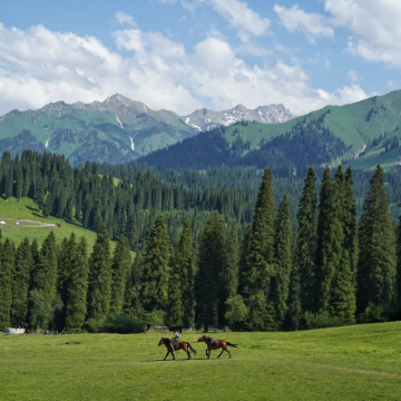 新疆乌鲁木齐+北疆6日5晚私家团