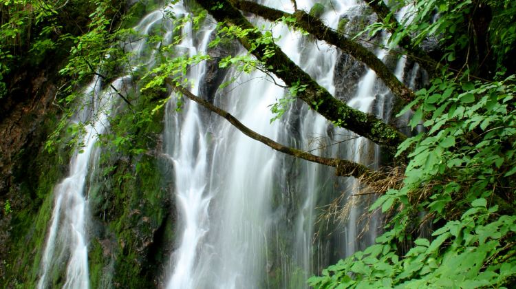 5-Day Shennongding Scenic Area Starry Sky Tent Campground + Shennongjia Tourism Area + Shennong Valley + Baidi Temple + Huanghua Island National Wetland Park