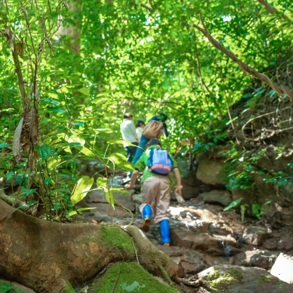 云南西双版纳5日4晚跟团游