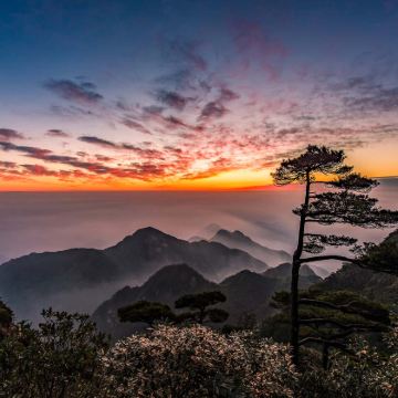 庐山国家级旅游风景名胜区-锦绣谷+婺源篁岭+井冈山7日6晚跟团游