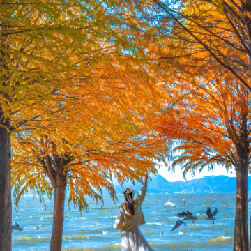 昆明+建水+弥勒+抚仙湖+普者黑风景区6日5晚自由行