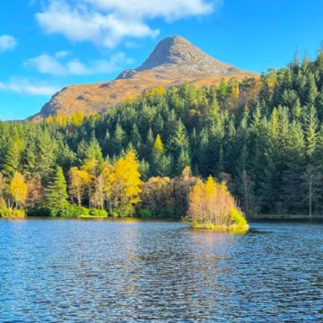 英国14日私家团