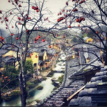 屏南+四坪村+龙潭古镇2日1晚私家团