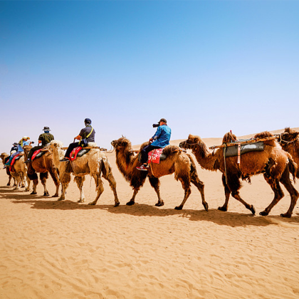 银川+中卫+腾格里沙漠+乌兰湖+沙坡头+66号公路2日1晚拼小团