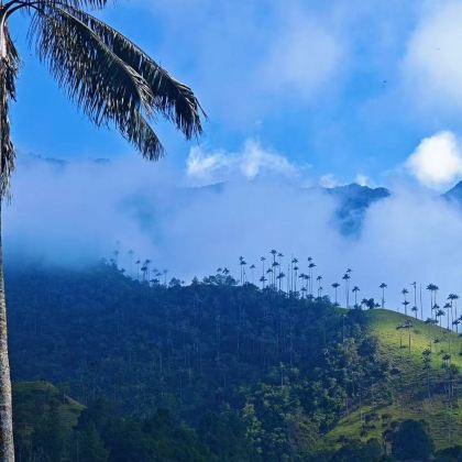 哥伦比亚波哥大+卡塔赫纳+萨伦托+巴拿马巴拿马城10日8晚私家团