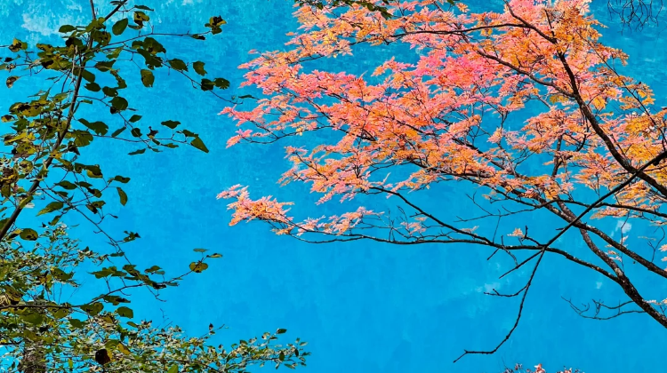 9-Day Sichuan classic panorama: Chengdu, Chongqing, Jiuzhaigou, Huanglong National Scenic Area | Private Tours·  