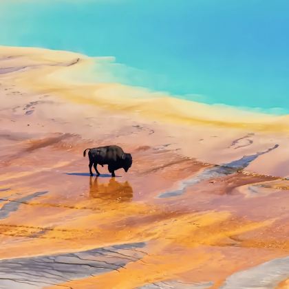 美国盐湖城+杰克逊+西黄石+黄石国家公园6日5晚拼小团