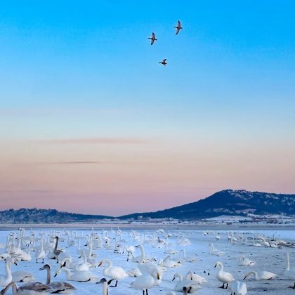 威海+荣成4日拼小团