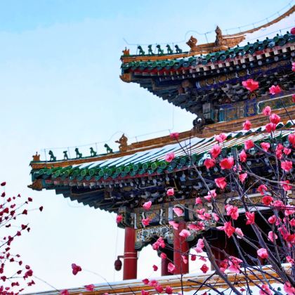 沈阳+哈尔滨5日4晚拼小团