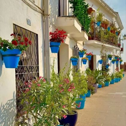 希腊8日6晚私家团