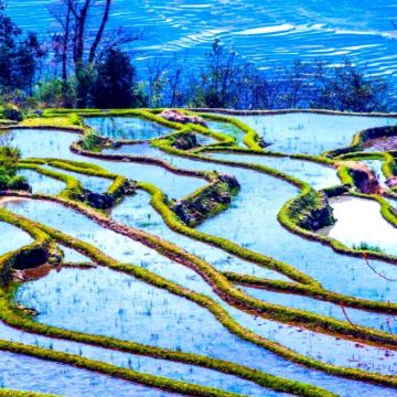 昆明+弥勒+普者黑风景区+屏边+河口+元阳+建水+抚仙湖8日7晚拼小团