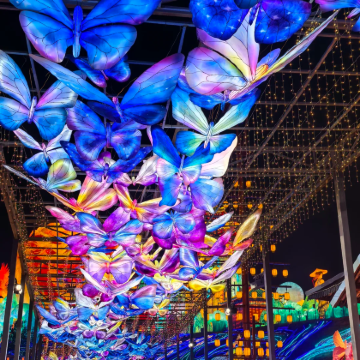 中国四川自贡6日5晚跟团游