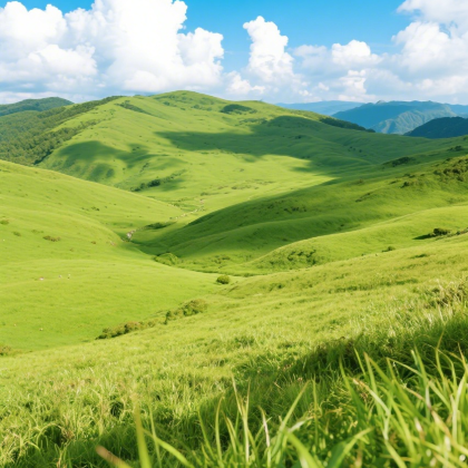 贵州六盘水+乌蒙大草原+野玉海山地旅游度假区2日1晚私家团