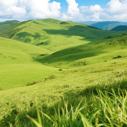 贵州六盘水+乌蒙大草原+野玉海山地旅游度假区2日1晚私家团