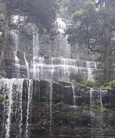 2D1N • From Hobart: 2 Day Cradle Mountain Tour