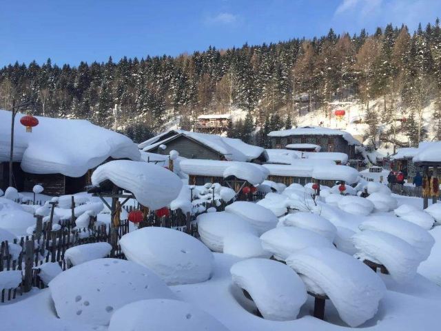 雪乡雪韵温泉旅行图片 1