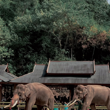 云南西双版纳5日4晚拼小团