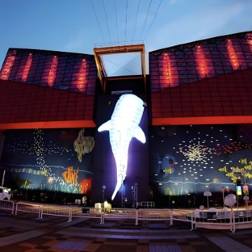 日本大阪+和歌山市+白滨町8日7晚私家团