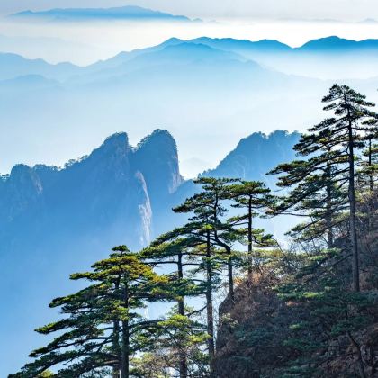 黄山+宏村2日1晚私家团