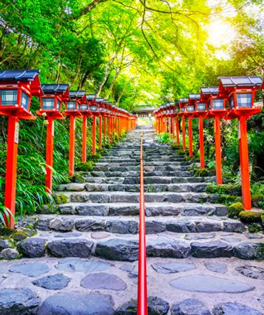 4天3晚 • 日本東京富士山 4 天 3 夜拼小團
