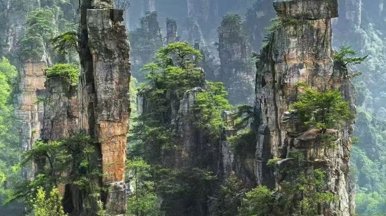 5D4N · Private Tours · Tianmen Mountain National Forest Park + Zhangjiajie National Forest Park + Zhangjiajie Grand Canyon + Fenghuang Ancient Town