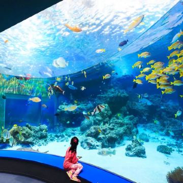 日本冲绳县7日6晚自由行