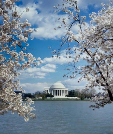 7D6N • United States: New York, Philadelphia, & Washington - Three Major East Coast Cities
