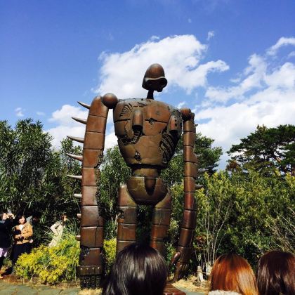 日本+东京+富士山+日光东照宫5日4晚私家团