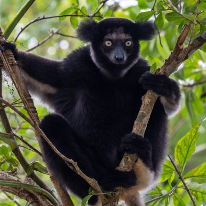 毛里求斯+法属留尼汪+塞舌尔+马达加斯加15日14晚私家团