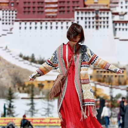 川藏公路+稻城亚丁+林芝+拉萨11日10晚拼小团