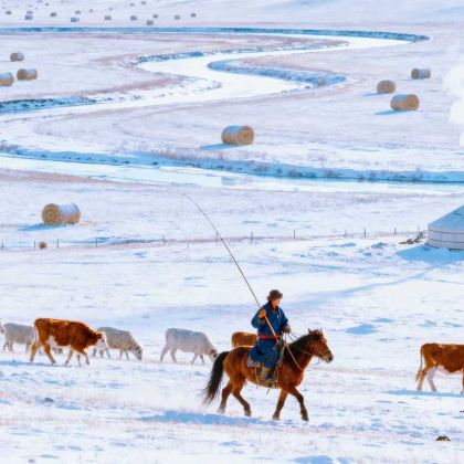 呼伦贝尔+额尔古纳6日5晚拼小团
