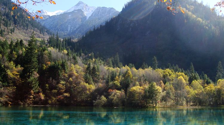 12-day 11-night · Group Tours · Chongqing + Hongya Cave + Chengdu + Zhangjiajie + Jiuzhaigou National Park + Huanglong National Scenic Area + Fenghuang Ancient Town