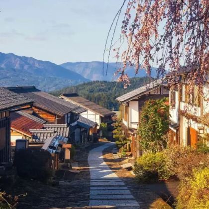 日本名古屋+大阪+京都+奈良7日6晚跟团游