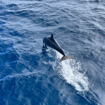 大溪地7日6晚私家团