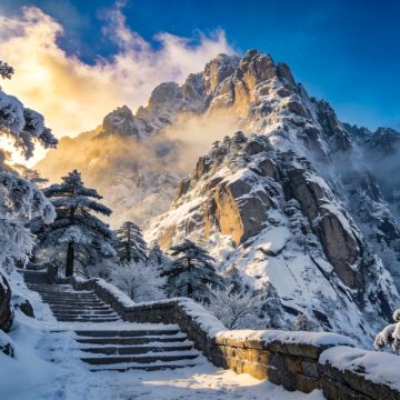泰山+济宁+聊城4日3晚拼小团