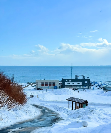 2D1N • Japan + Sapporo, Hokkaido + Asahiyama Zoo + Forest Fairy Terrace + Shikisai-no-Oka
