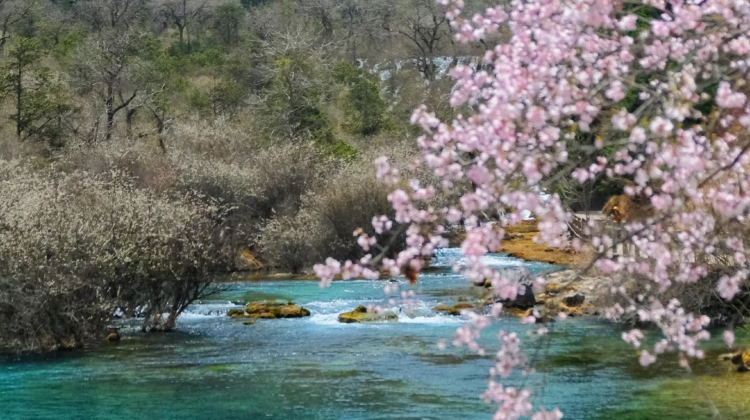 9-Day Sichuan-Chongqing Dual-City Tour: Jiuzhaigou & Hongyadong. Contact customer service for complimentary family room upgrade in downtown Chengdu, free customized private itinerary