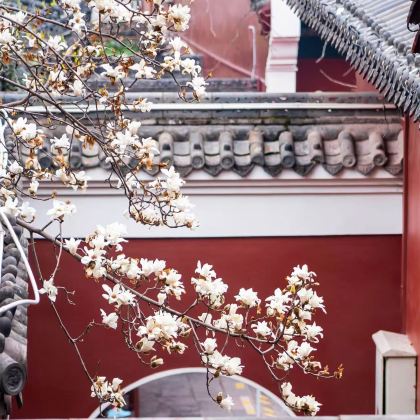 武汉+武汉大学+湖北省博物馆+黄鹤楼4日3晚跟团游