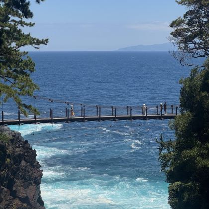 日本东京+横滨+日光市6日5晚私家团