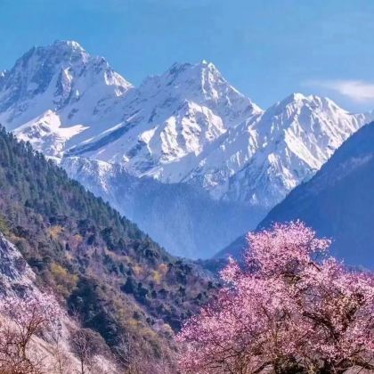 林芝+山南+纳木措景区+羊卓雍错4日3晚跟团游