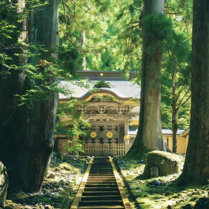 日本仙台+盛冈+青森市6日5晚私家团