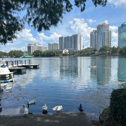 奥兰多7日6晚拼小团