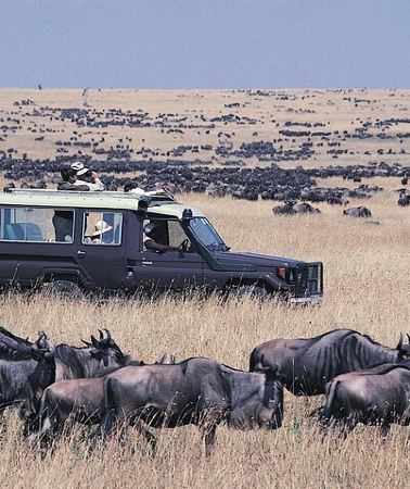 4D3N • 4-Day Maasai Mara Budget Safari from Nairobi on 4x4 Jeep
