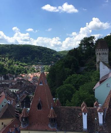 2D1N • Private 2-Day Transylvania Tour from Bucharest: Bears & Castles