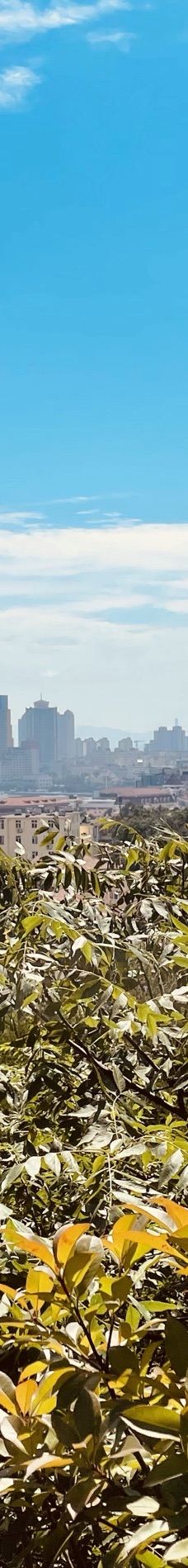 信号山公园-青岛