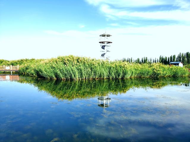 乌梁素海生态旅游景区(暂停开放)旅行图片 3