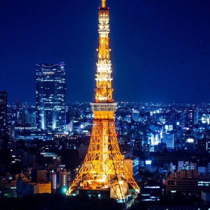 日本大阪+京都+岐阜市+东京8日7晚跟团游